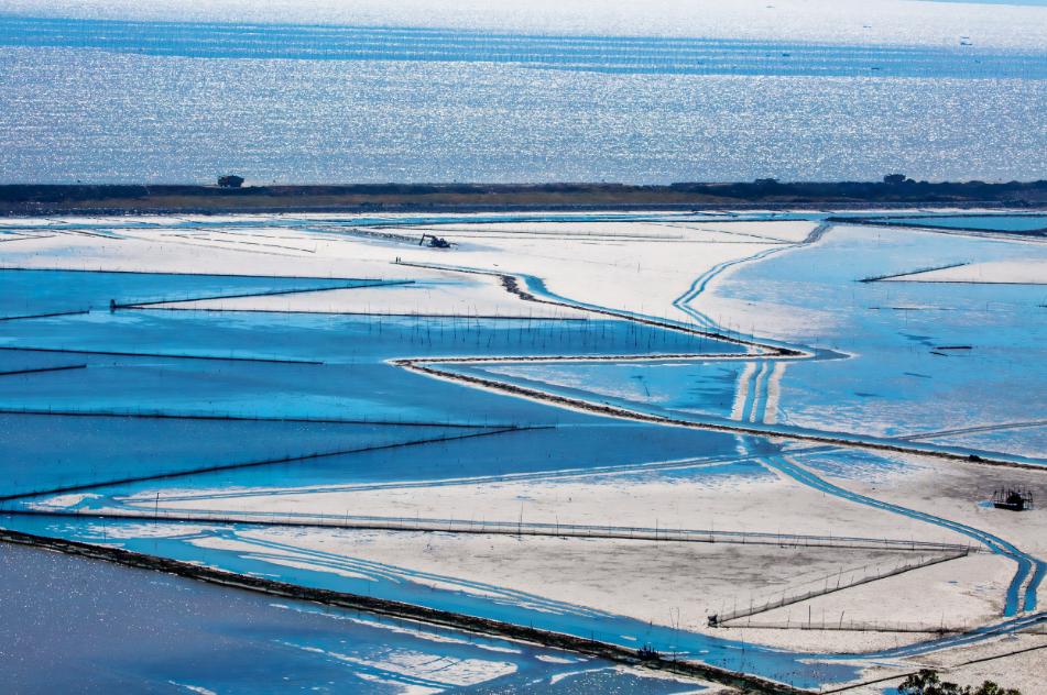带你们体验摘杨梅的乐趣,酸酸甜甜的杨梅有谁陪我一起采摘
