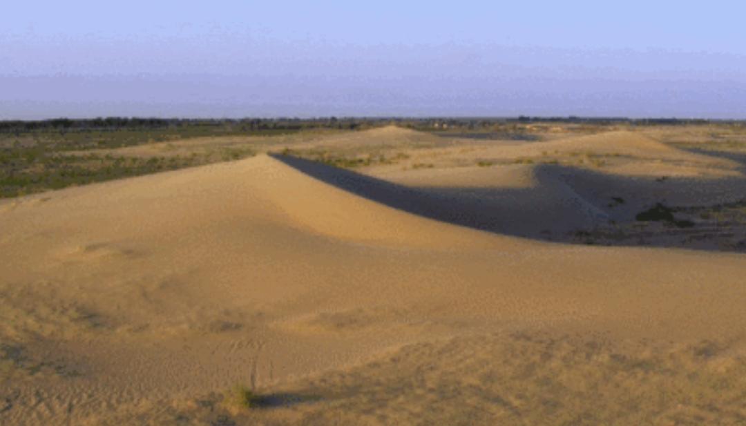 环保少女的1500天：中国辛苦种树种了2个半韩国，欧洲却放飞烧煤