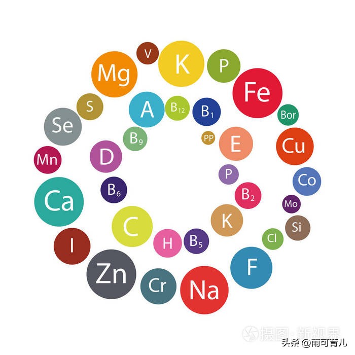 早期孕妇需要注意的饮食有哪些,孕妇日常饮食是否能满足营养需求