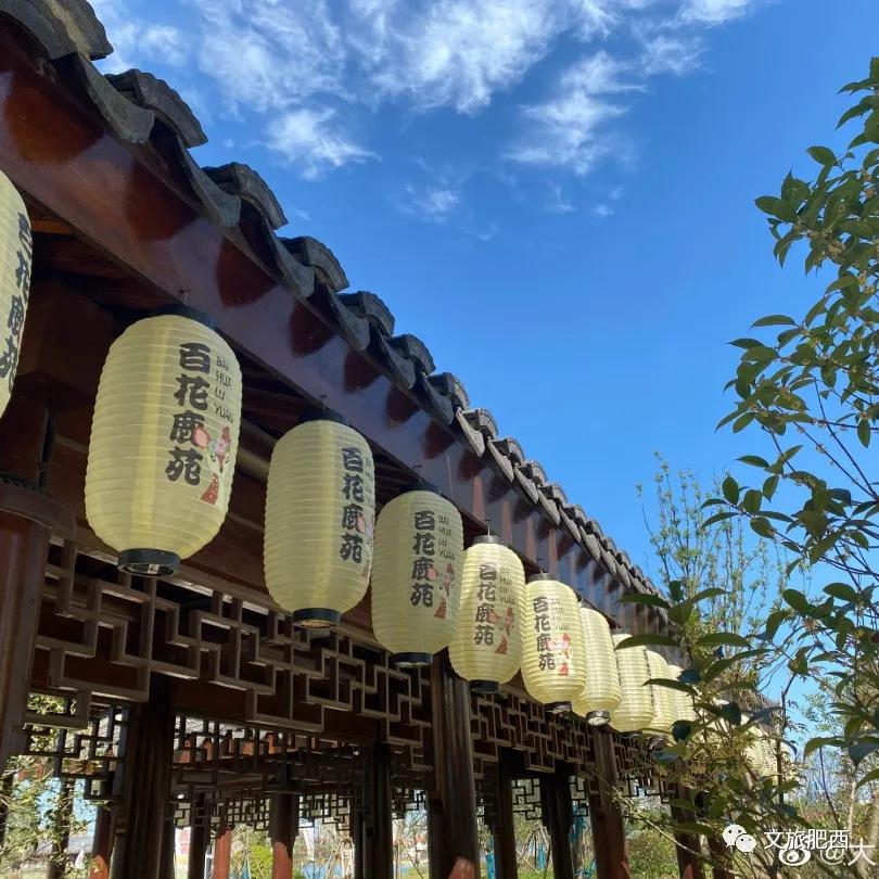 原来，在社交平台中，肥西的真实风景是这样的