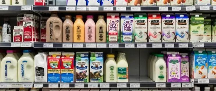 驼奶不含骆驼基因,骆驼奶为什么是稀缺乳