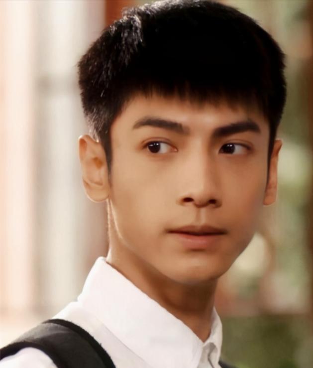 说出15个川渝地区的男明星,巴蜀美男子