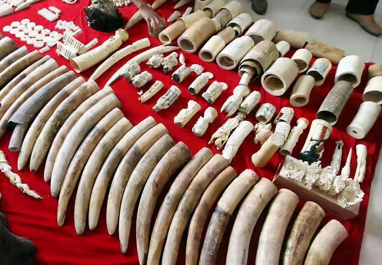 中国女商人在非洲被判15年监禁,行为引发众怒,耿爽:绝不袒护