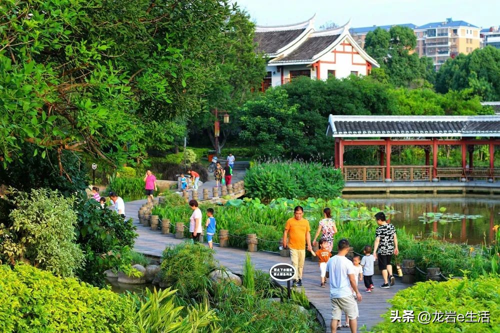 夏天龙岩哪里凉快适合避暑,龙岩新罗区有哪些避暑的好地方