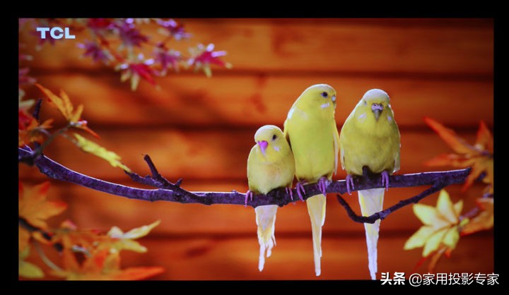 优派q20pro,优派q20和q20pro区别