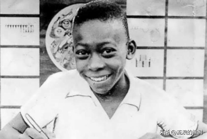 橡树|贝利，我们的足球的“暗号”