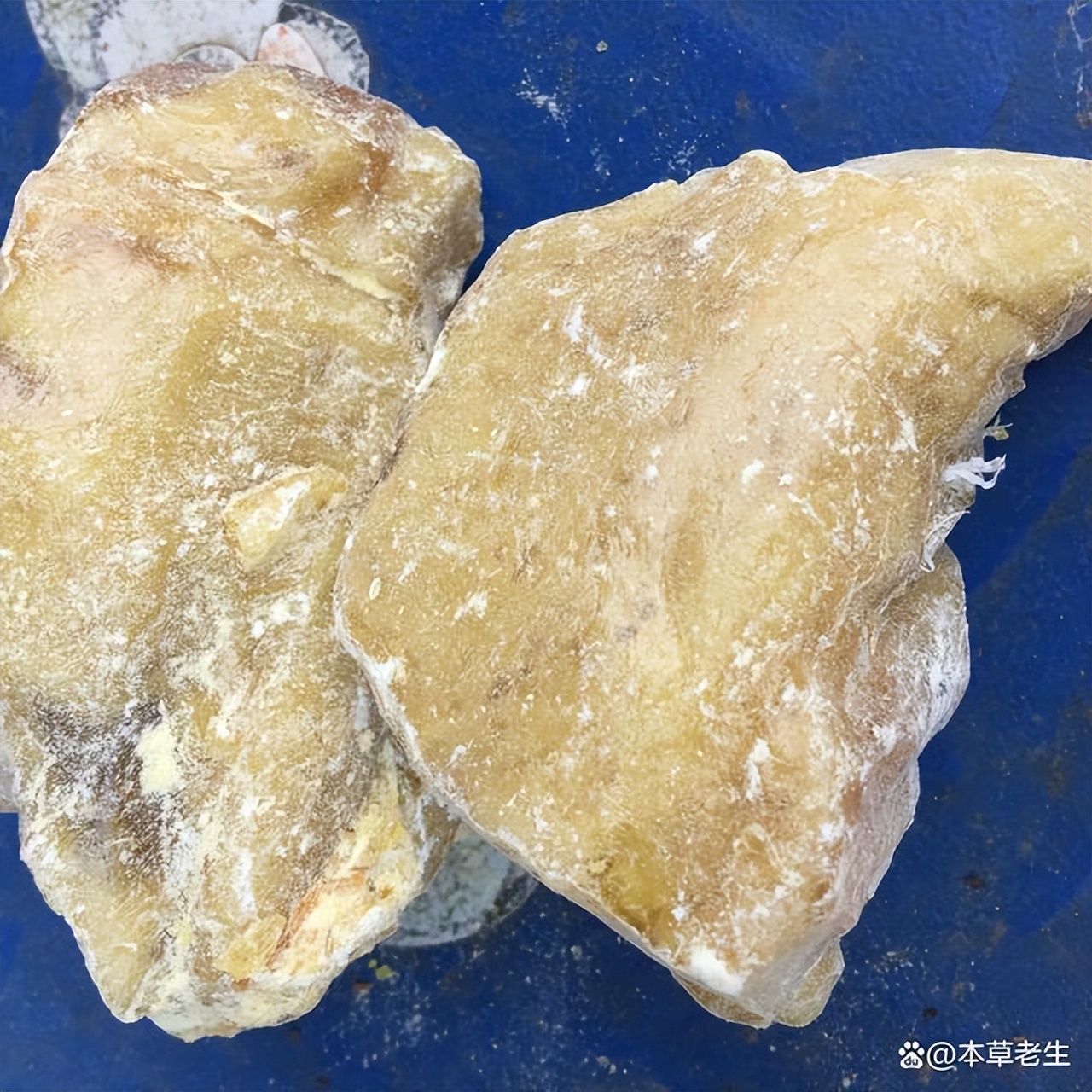 苏合香真假,苏合香哪个产地的最好