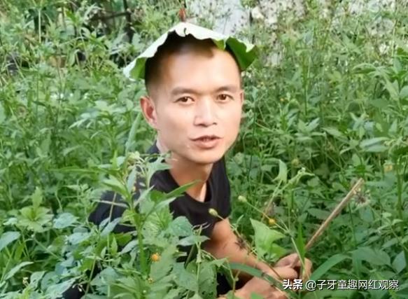 迷茫哥：抽屉里种菜，镜子贴膏药，各种神奇操作笑翻网友