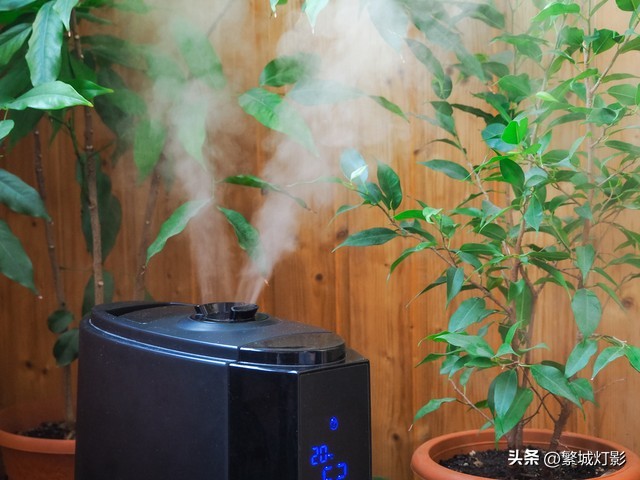 被窝里面耍手机的危害,在被窝里玩手机的坏处