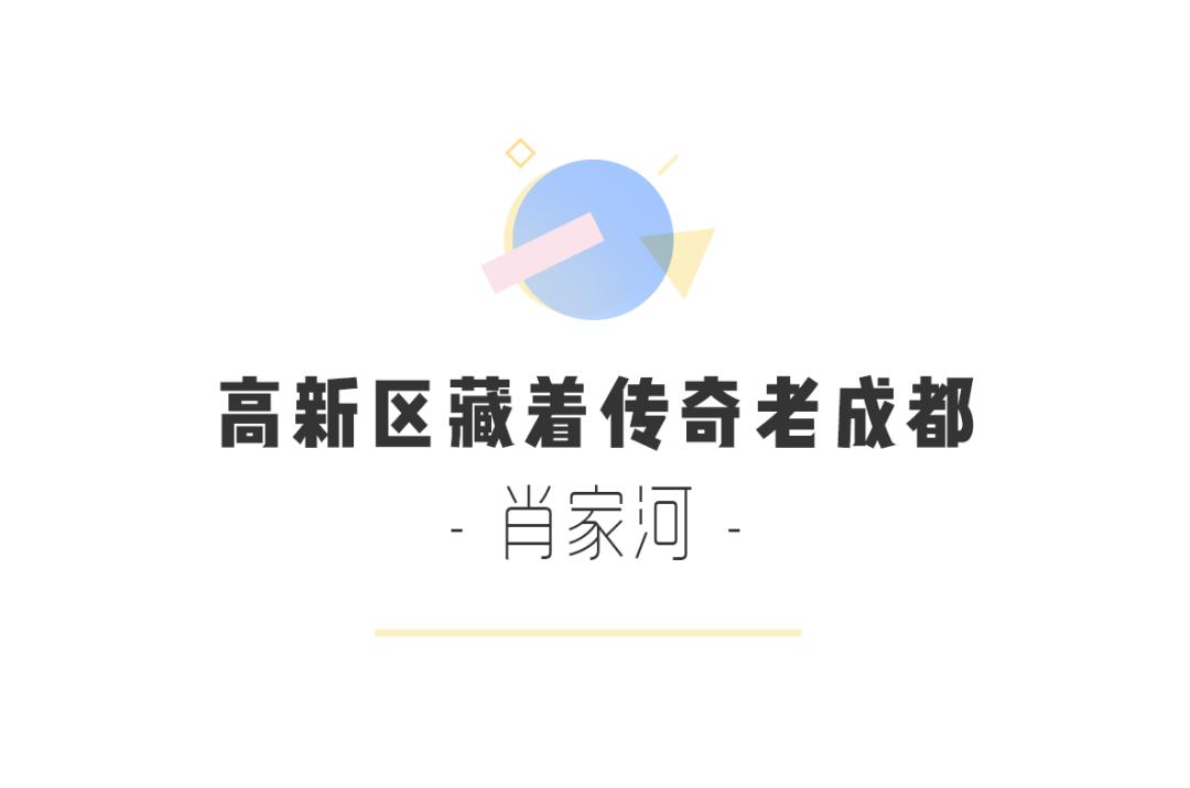 12条时髦老街，长满晒太阳的成都人