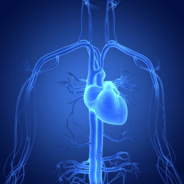 老年人甲醛怎么去除,老人家入住新房还如何除甲醛