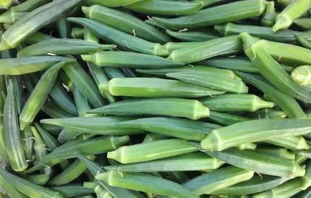 黄秋葵花,黄秋葵花啥样图片