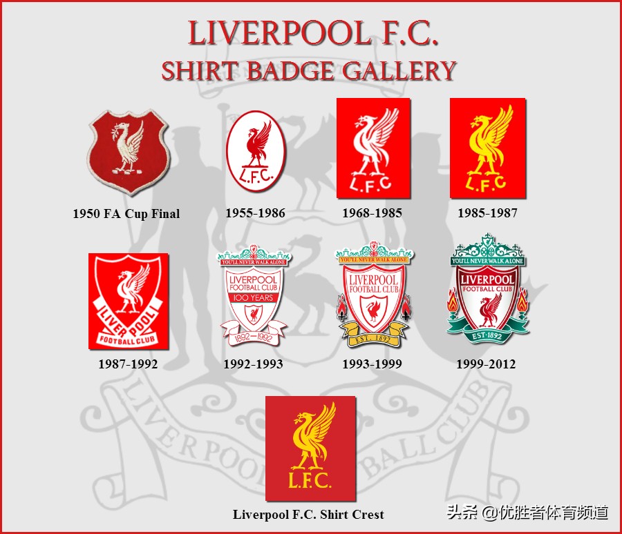 球迷基础知识,球迷知识世界杯