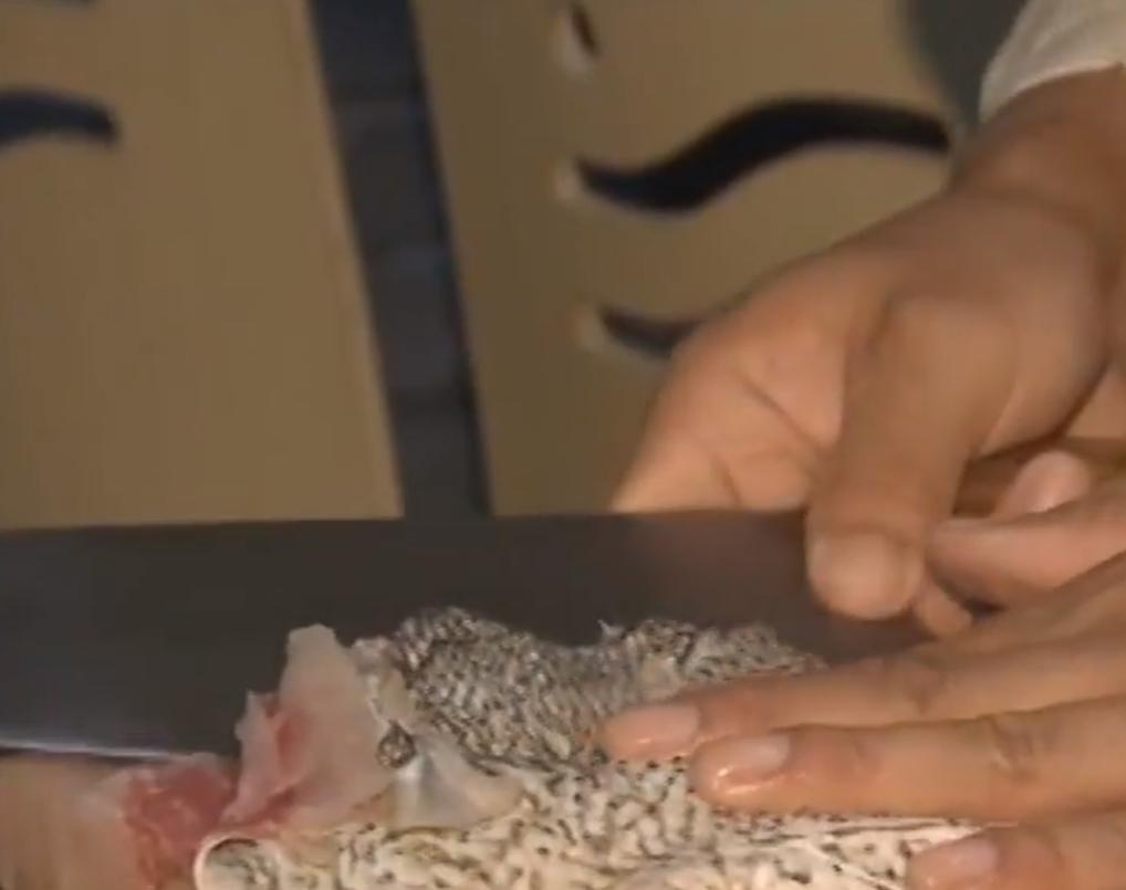 致富经浙江靠卖鱼皮年挣百万,致富经靠卖鱼皮发家致富