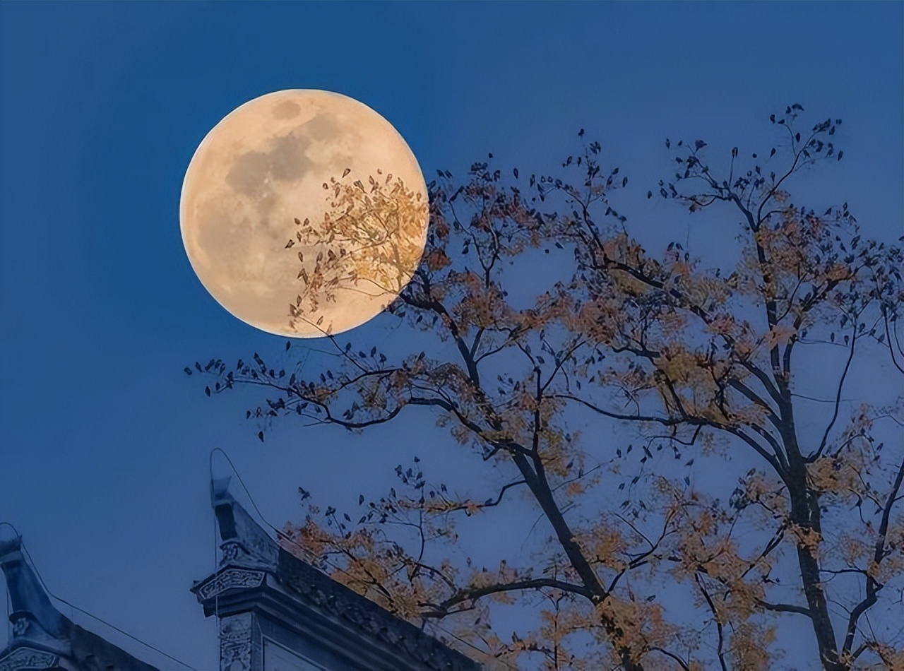 水调歌头丙辰中秋苏轼古诗词朗诵,苏轼水调歌头中秋书法作品行书