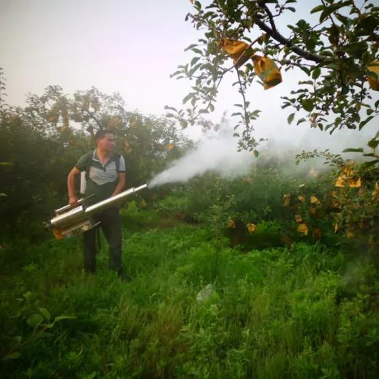 控旺药打多了有害吗,控旺药人吃了有危害吗