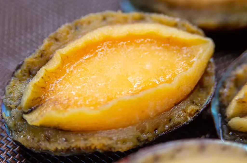 新西兰黑金鲍鱼购买,内陆城市怎么买帝王蟹