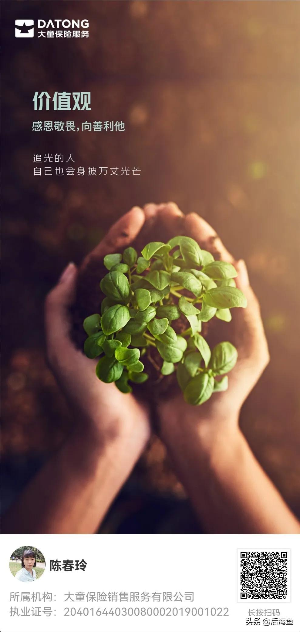 大童保险,大童保险服务