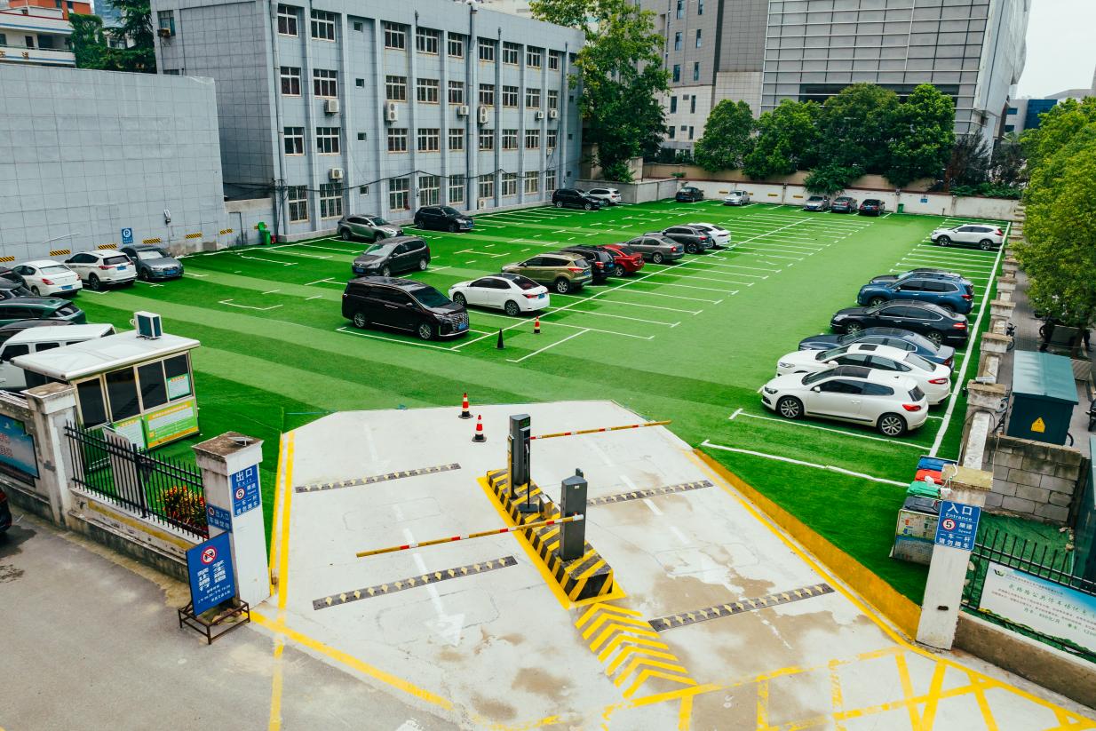 共同缔造项目简介,共同缔造建设内容