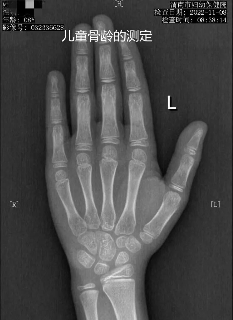 致敬公司的摄影师,美女致敬摄影师视频