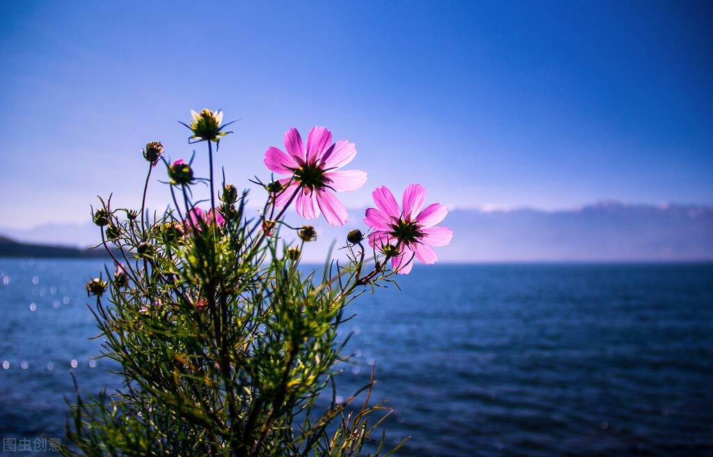 人生要善于捕捉机遇,善于抓住机遇的人比较高明