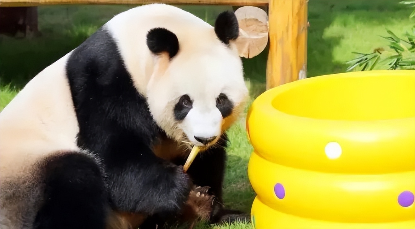 五一杭州周边旅游景点推荐,五一出游杭州有哪些小众景点