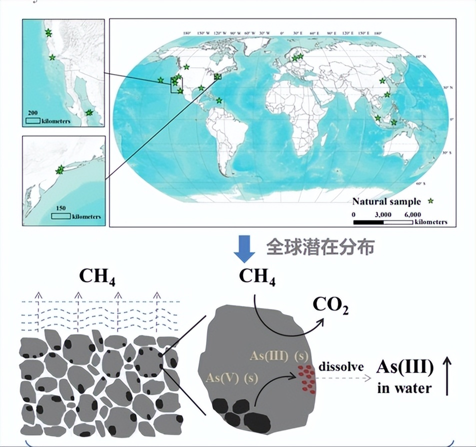 两种环境富集方法对石斑鱼幼鱼认知能力和生长性能的影响