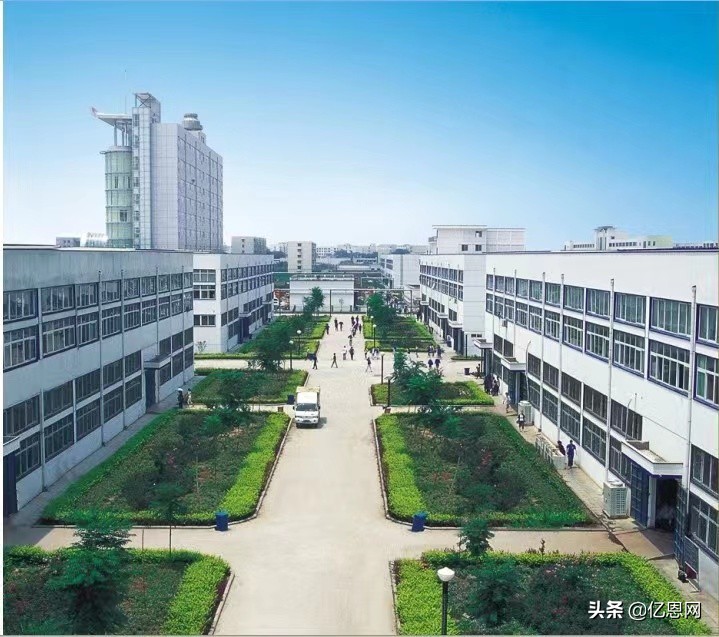 高端假发瑞贝卡,瑞贝卡假发发展