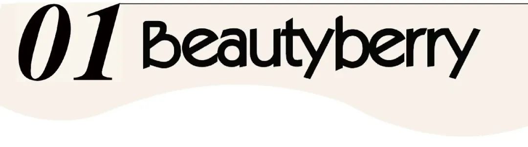 闪亮礼服时尚,闪亮礼服套装