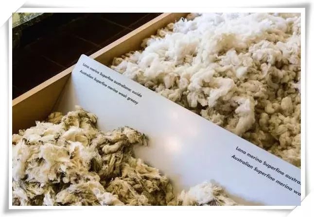 为什么进口面料比国产的好那么多？