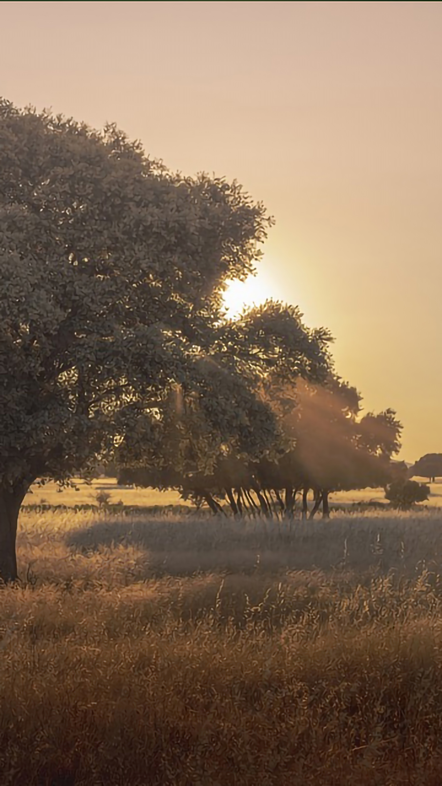 好看的手机桌面壁纸和锁屏壁纸,总有一张壁纸适合你手机屏保精选