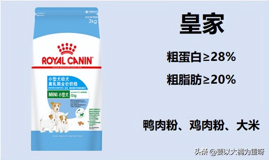 如何挑选自家狗狗狗粮品牌,同一窝狗如何选择狗粮品牌