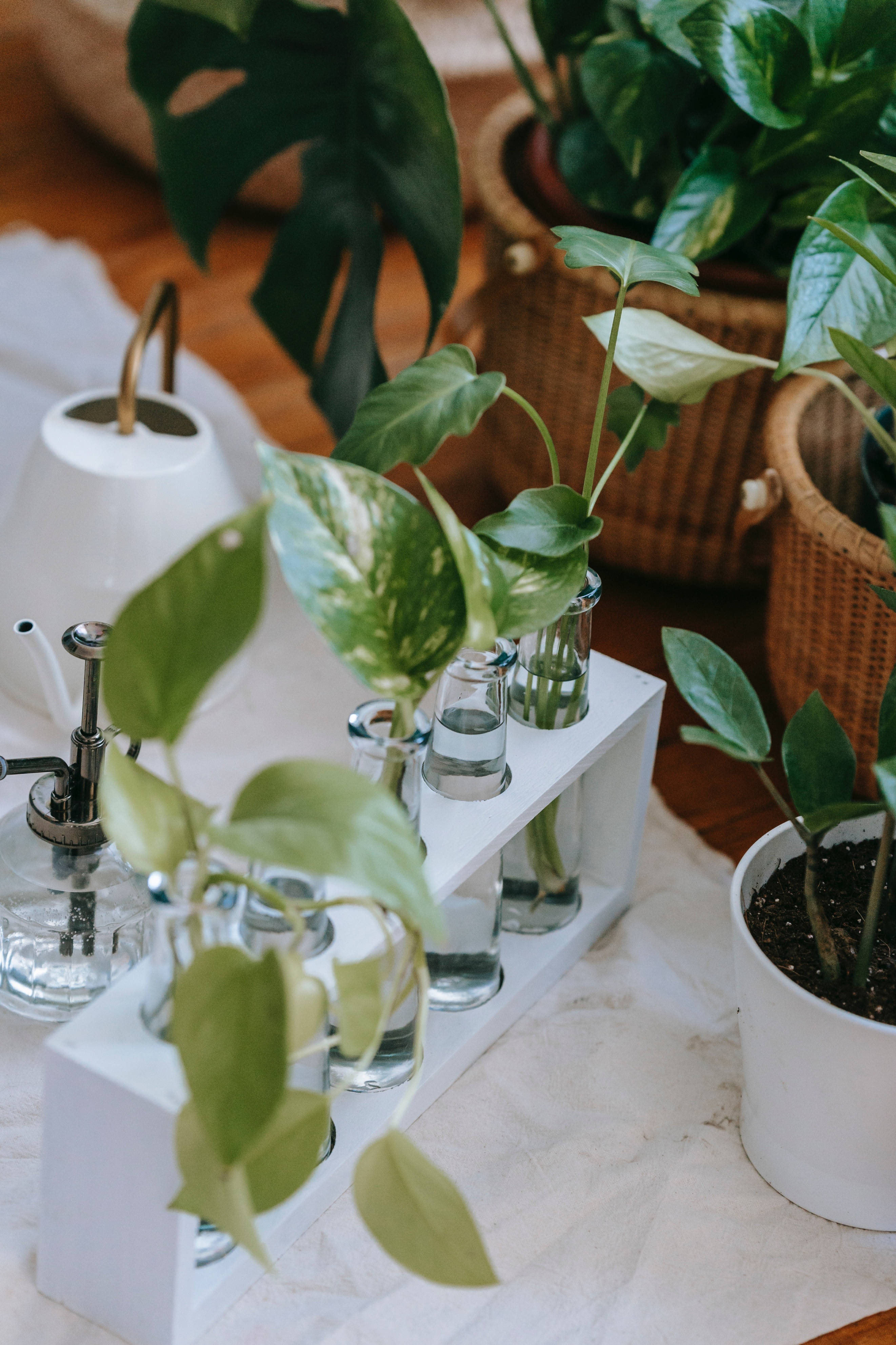 装修完的房子怎样除甲醛最好,装修的房子怎么除甲醛最有效