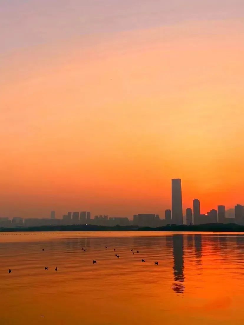 @深圳人，夏日晚霞图鉴请签收！