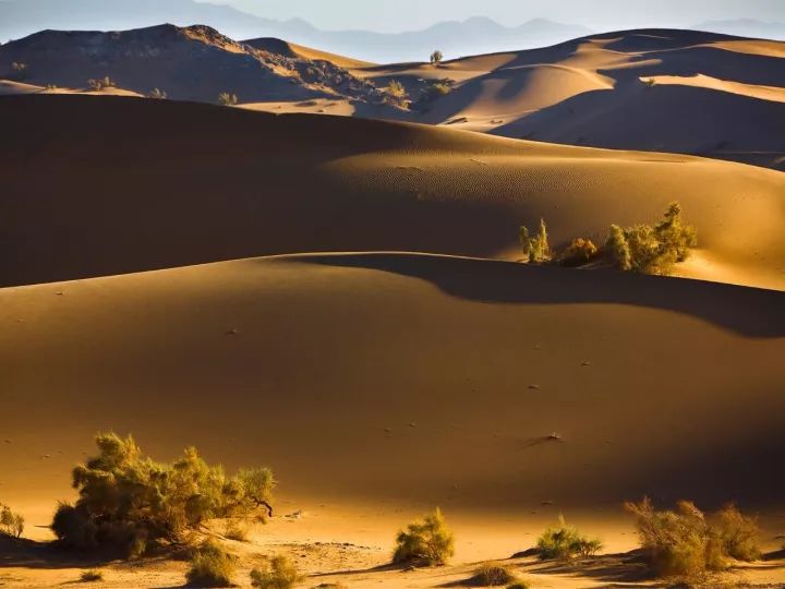 什么是甘肃,什么是甘肃地震