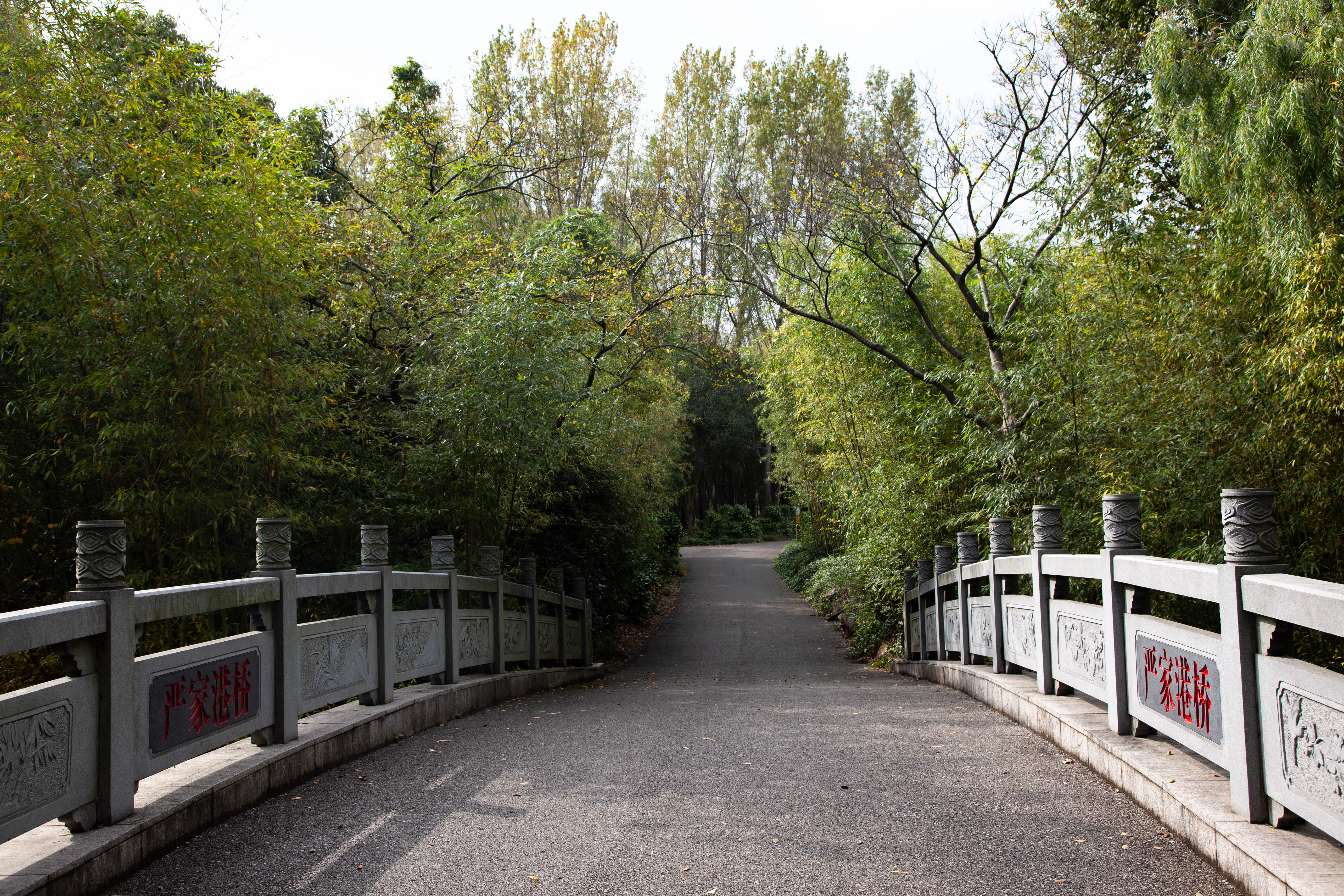 宝山顾村历史,上海宝山顾村老街