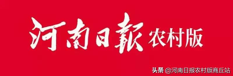网格织密疫情防控屏障,织密社区疫情防护网