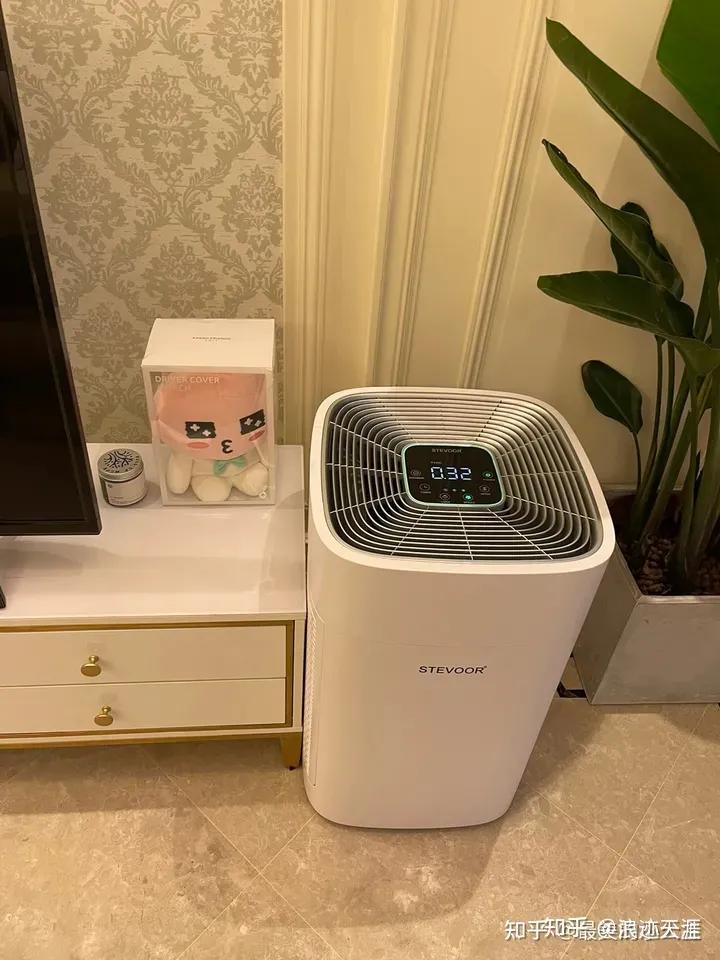 去除装修异味小妙招,如何有效去除装修异味