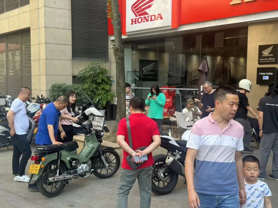 本田幼兽cc110盲盒,本田幼兽110cc