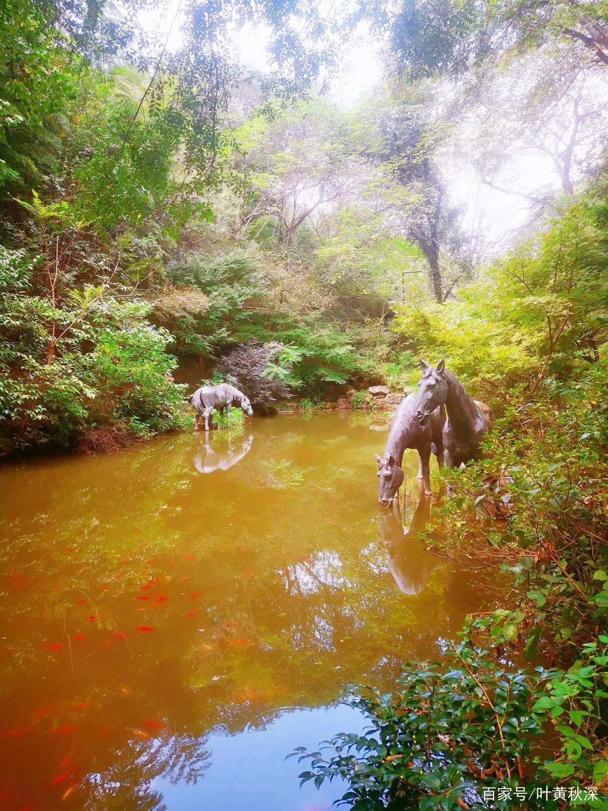 来湘湖赏花,去湘湖玩