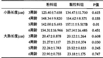 淀粉来源和糊化度对肉鸡生产性能和小肠消化的相互作用