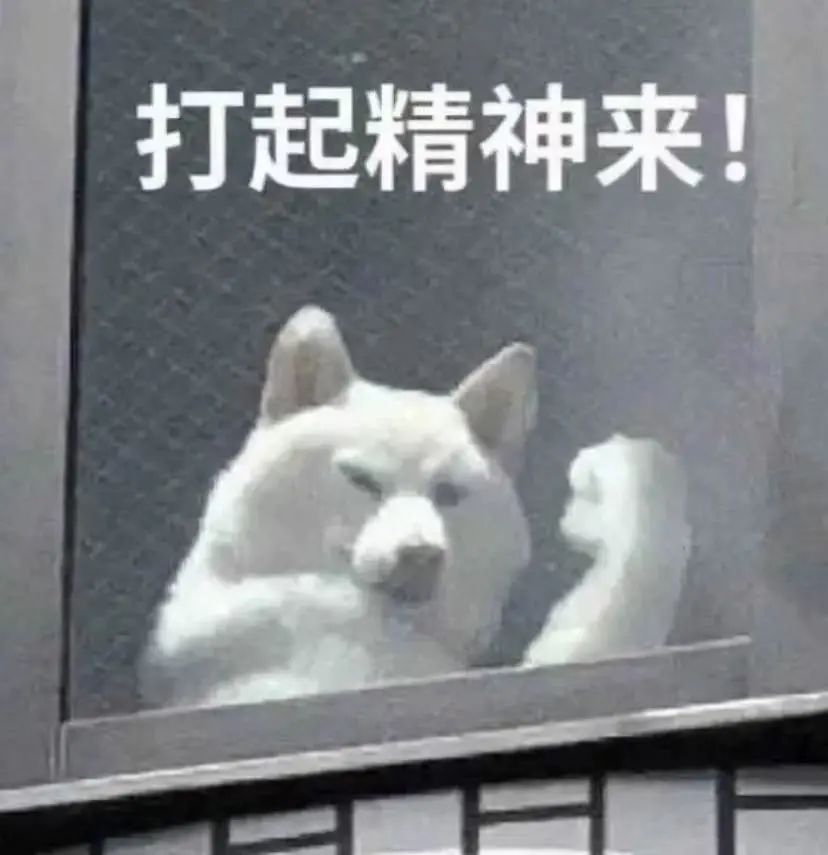 炒到1000块一笼的夜包子，还能火多久？