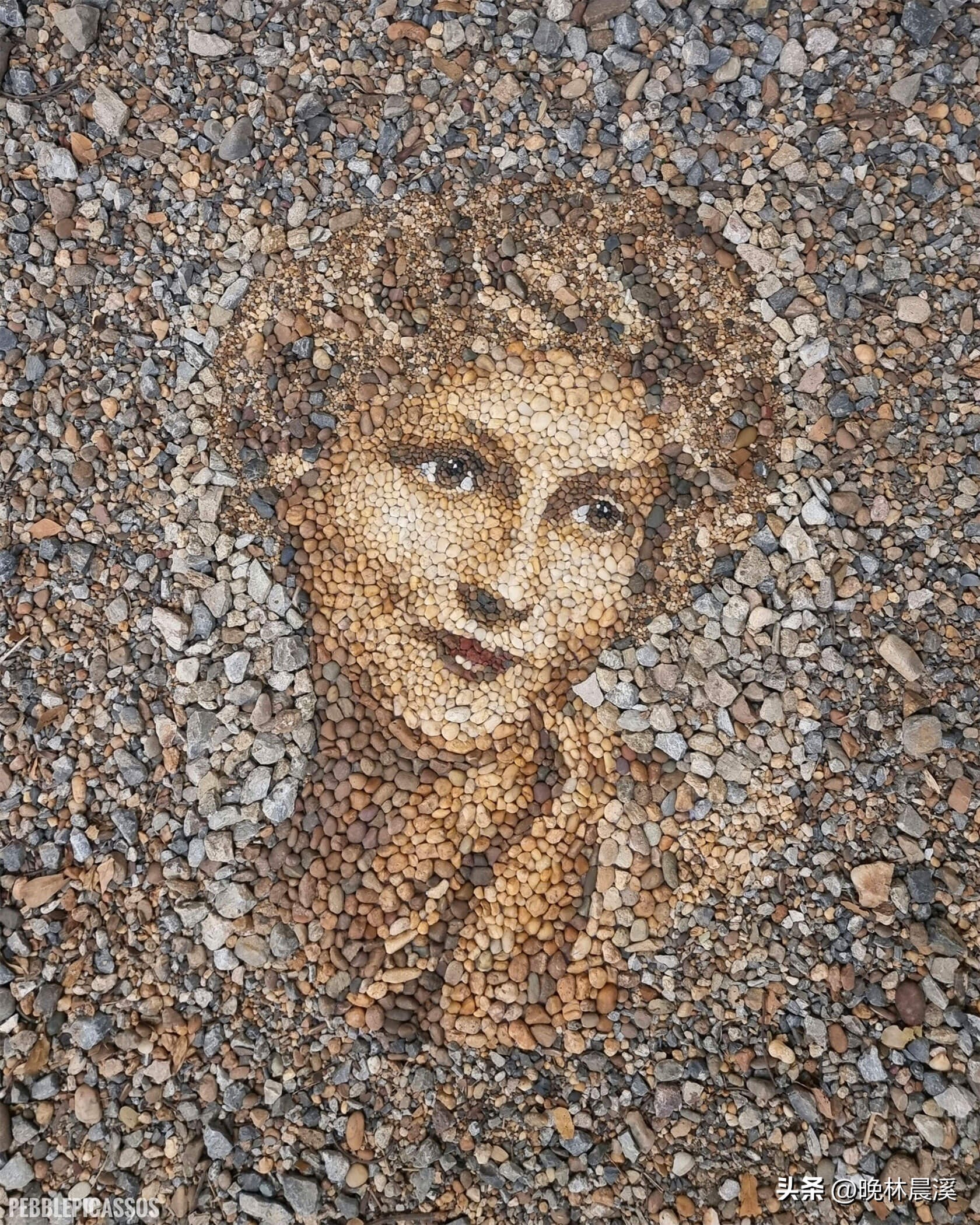 鹅卵石毕加索：贾斯汀·贝特曼的令人难以置信的石头马赛克