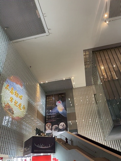 昆明一座让人流连忘返的城市,被低估的旅游城市昆明