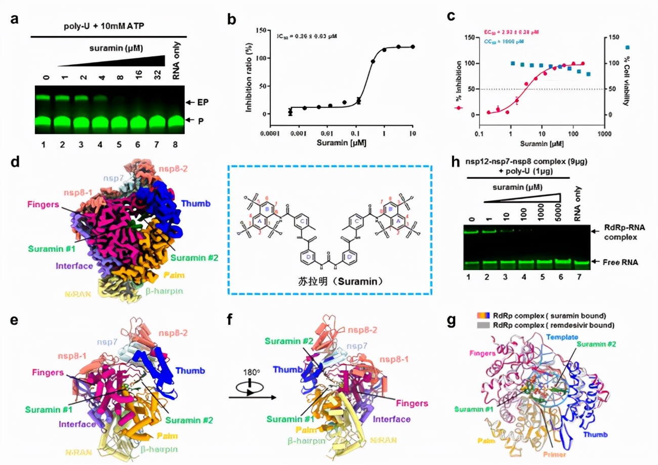 炒股票需要什么样的专业技术,炒股票为啥得学哲学