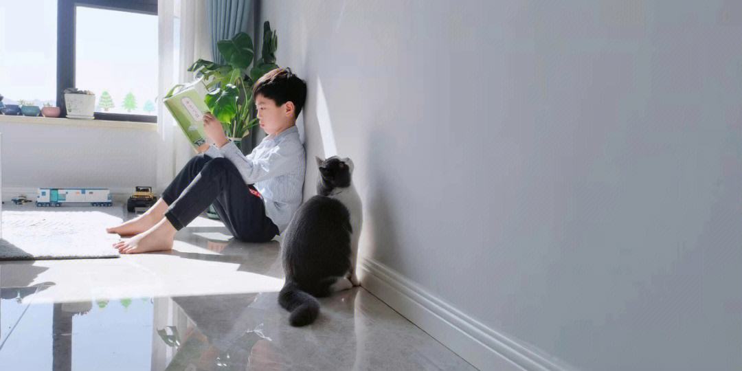 养猫的5大“好处”和5大“坏处”，看完，你还会养吗？