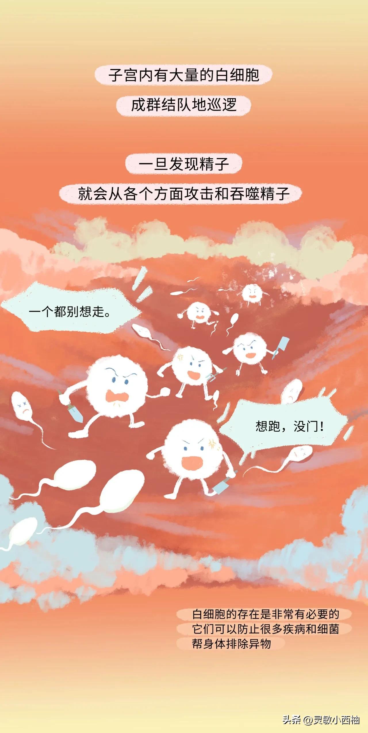 （漫画）精子进入女性体内的全过程，真的太神奇啦