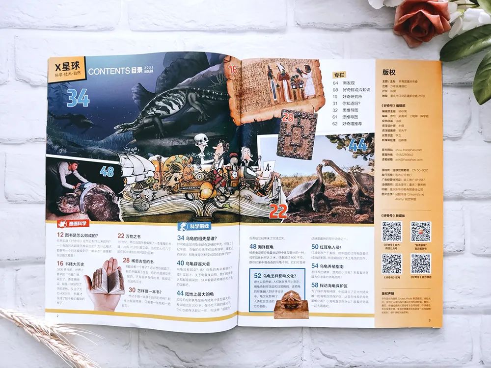 小学英语科普汇总,一张表搞定小学英语