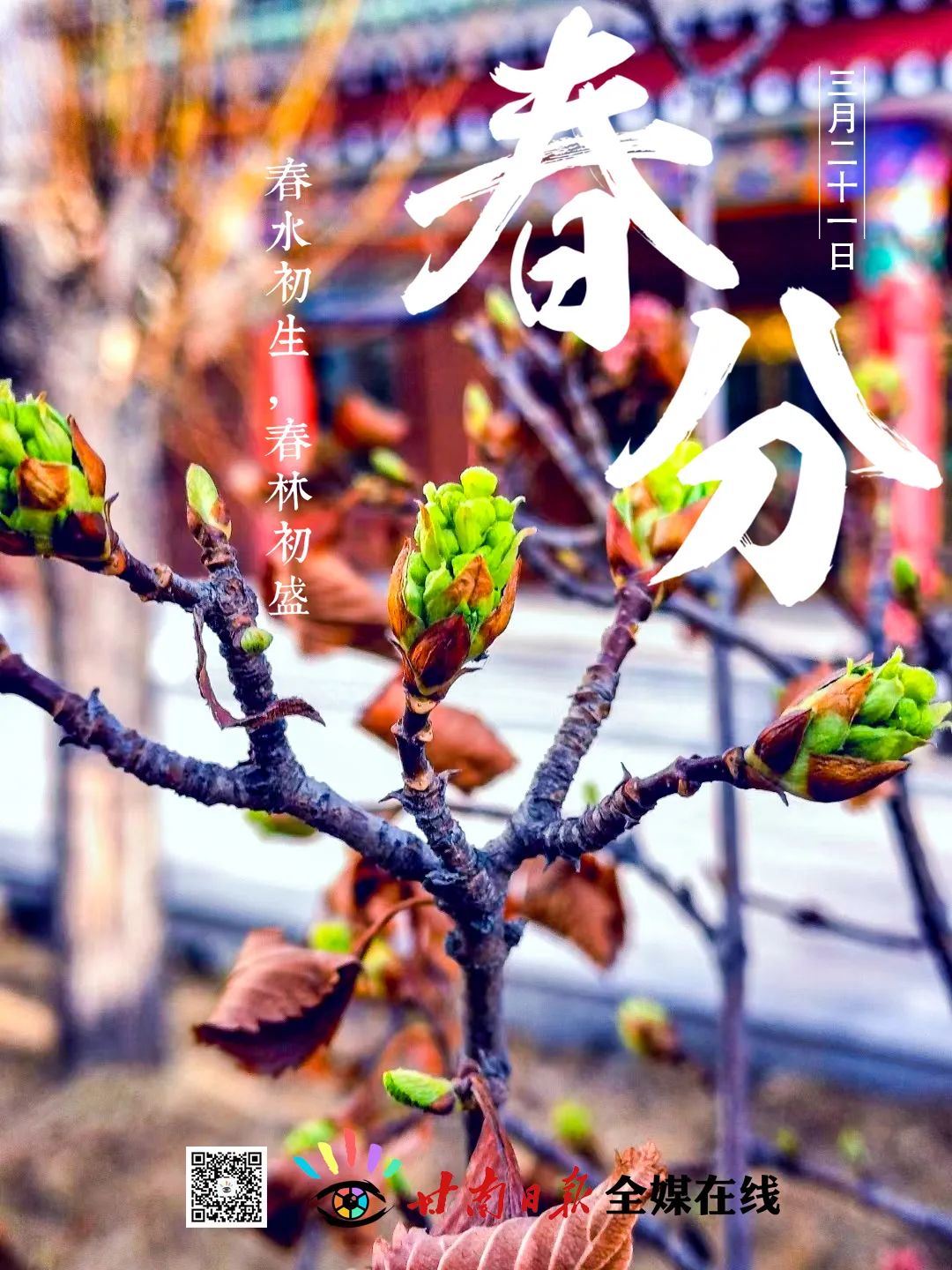 今日春分完整版视频,今日春分全文及解析