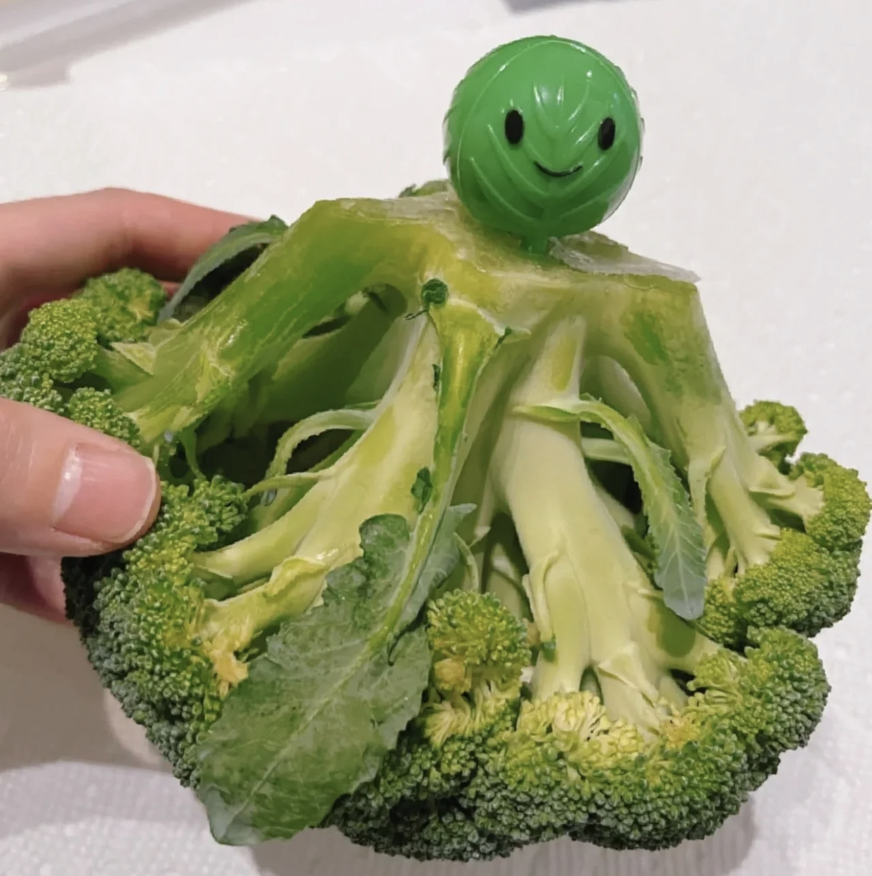 这10个“怪玩意”，都是我妈在网上淘的，几块钱的快乐，真有意思